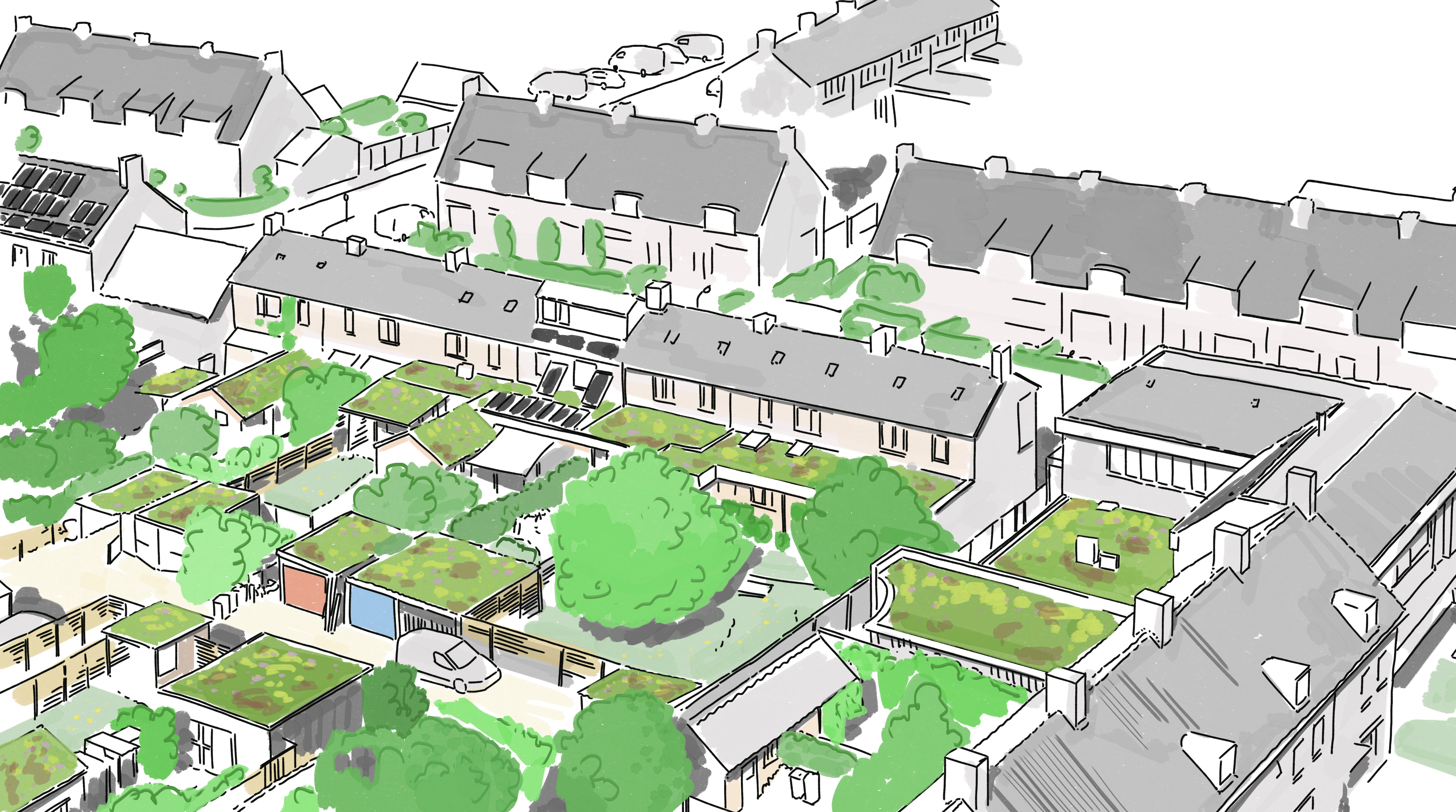 Illustratie van groene sedum daken in een wijk