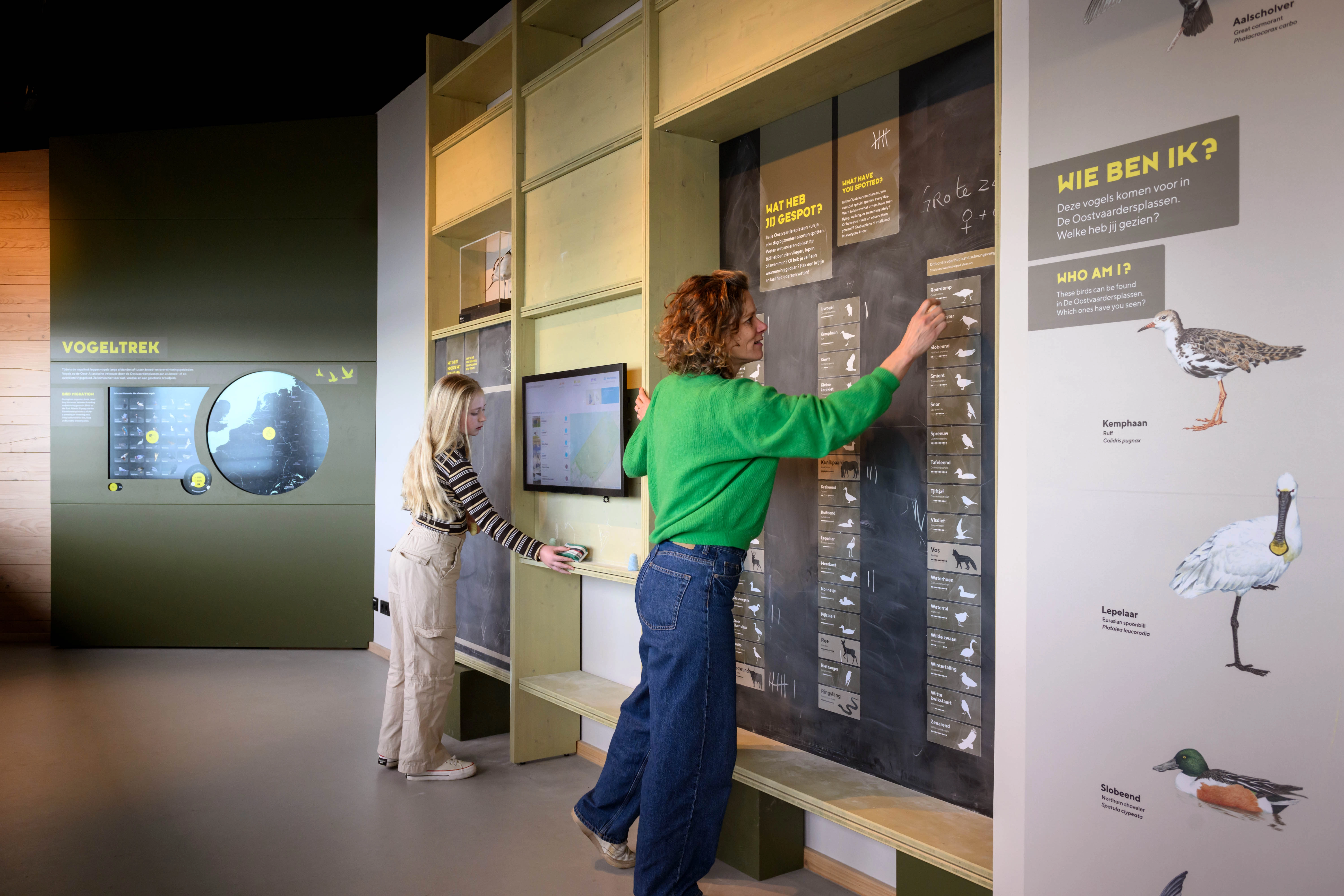 Bezoekers bekijken interactieve wand met vogelillustraties, scherm en panelen onder de titel “Wie ben ik?”.
