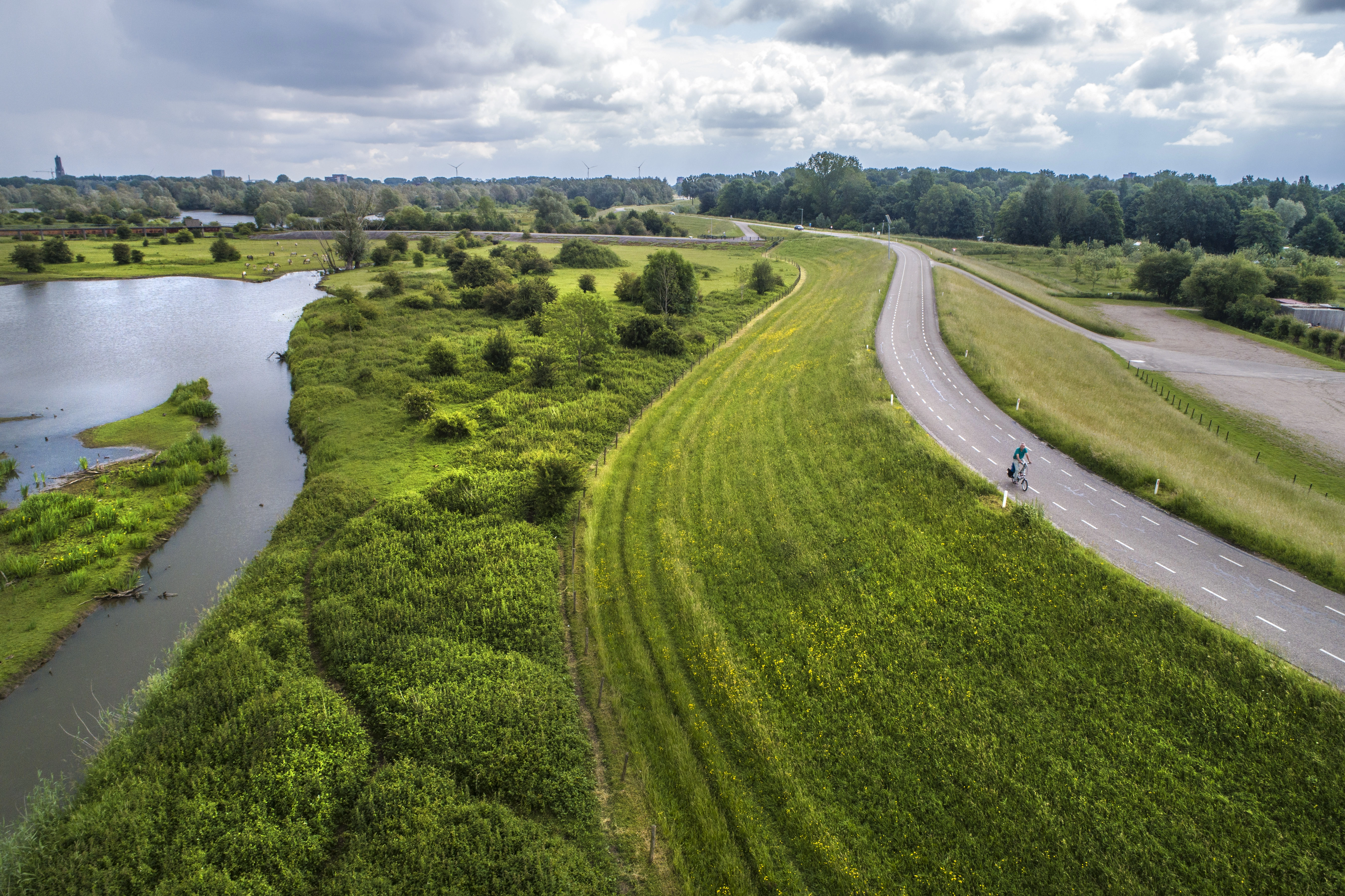 Fietser op een bochtige dijkweg door groen landschap met bomen, water, gebouwen en windmolens op de achtergrond